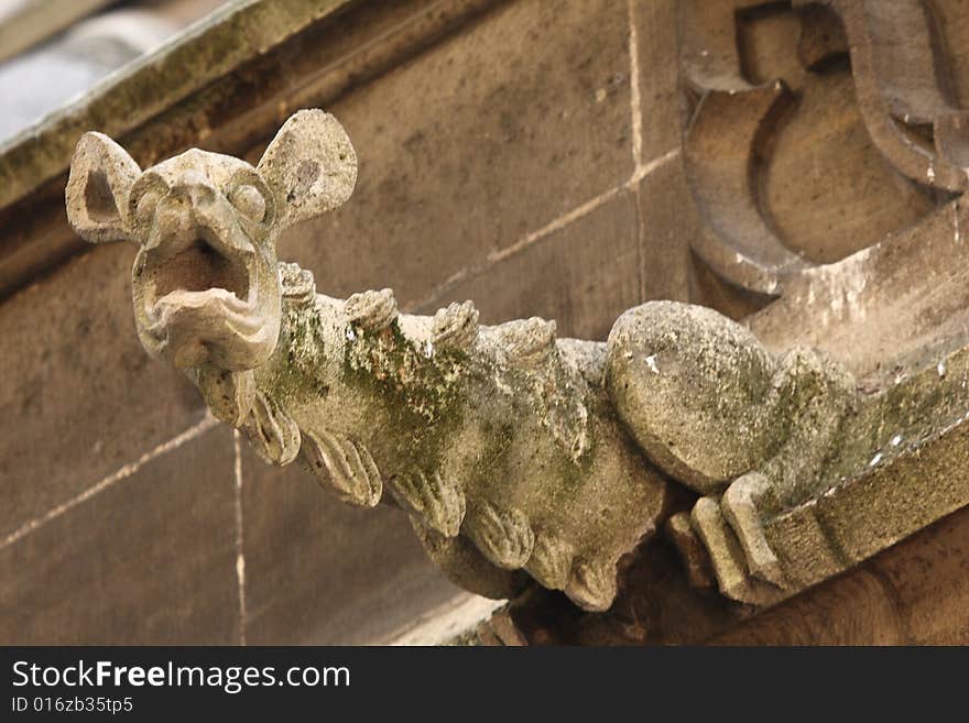 The Gargoyles of Notre Dame Cathedral, Paris