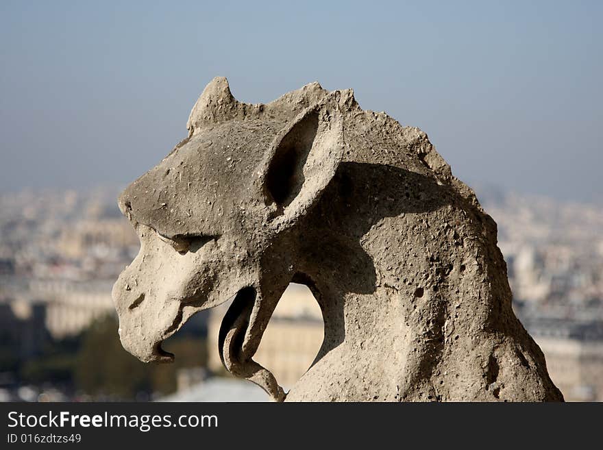 The Gargoyles of Notre Dame looking out over Paris