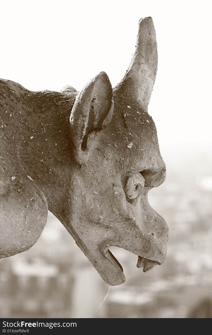 The Gargoyles of Notre Dame looking out over Paris