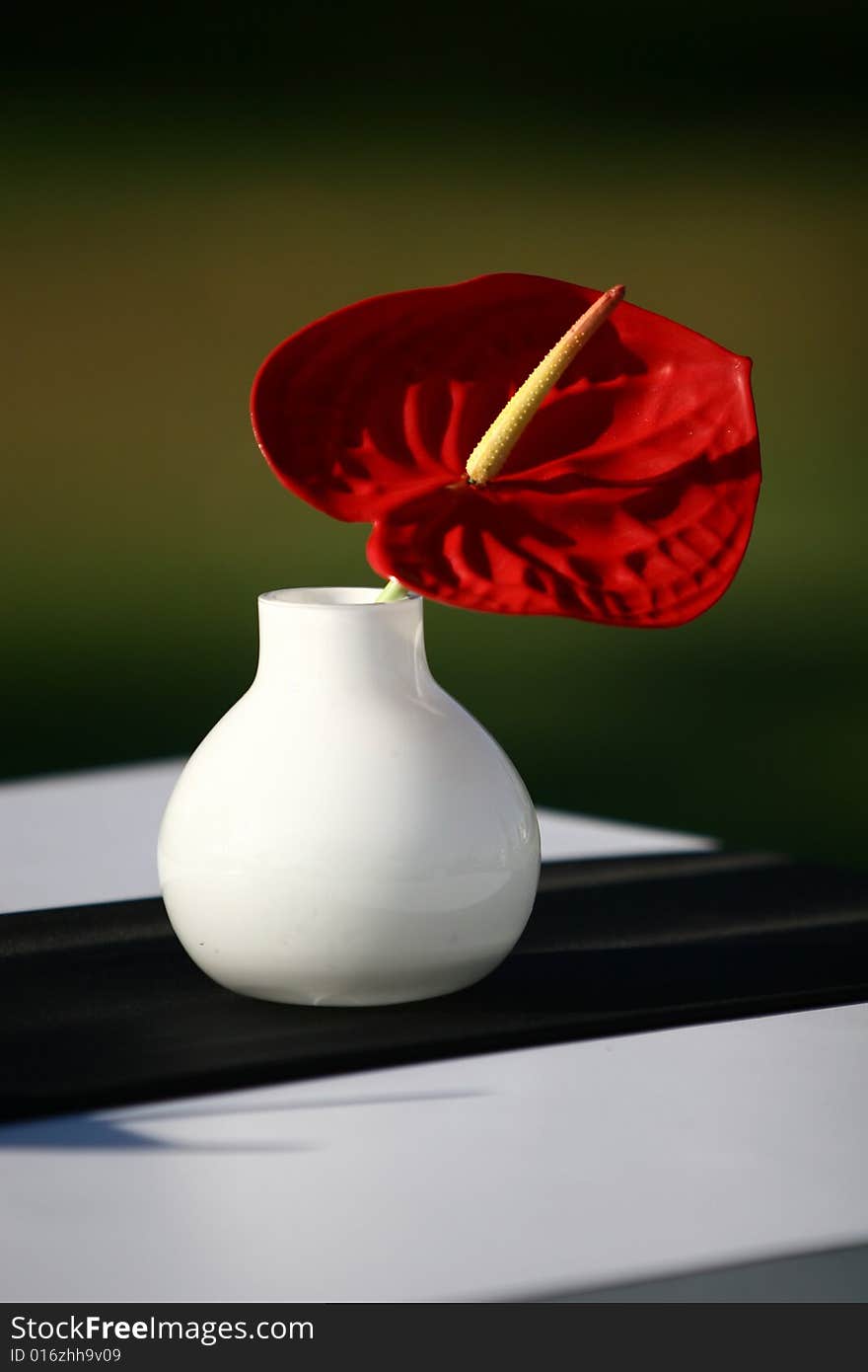 Red flowers in vase on a table with low depth of field. Red flowers in vase on a table with low depth of field