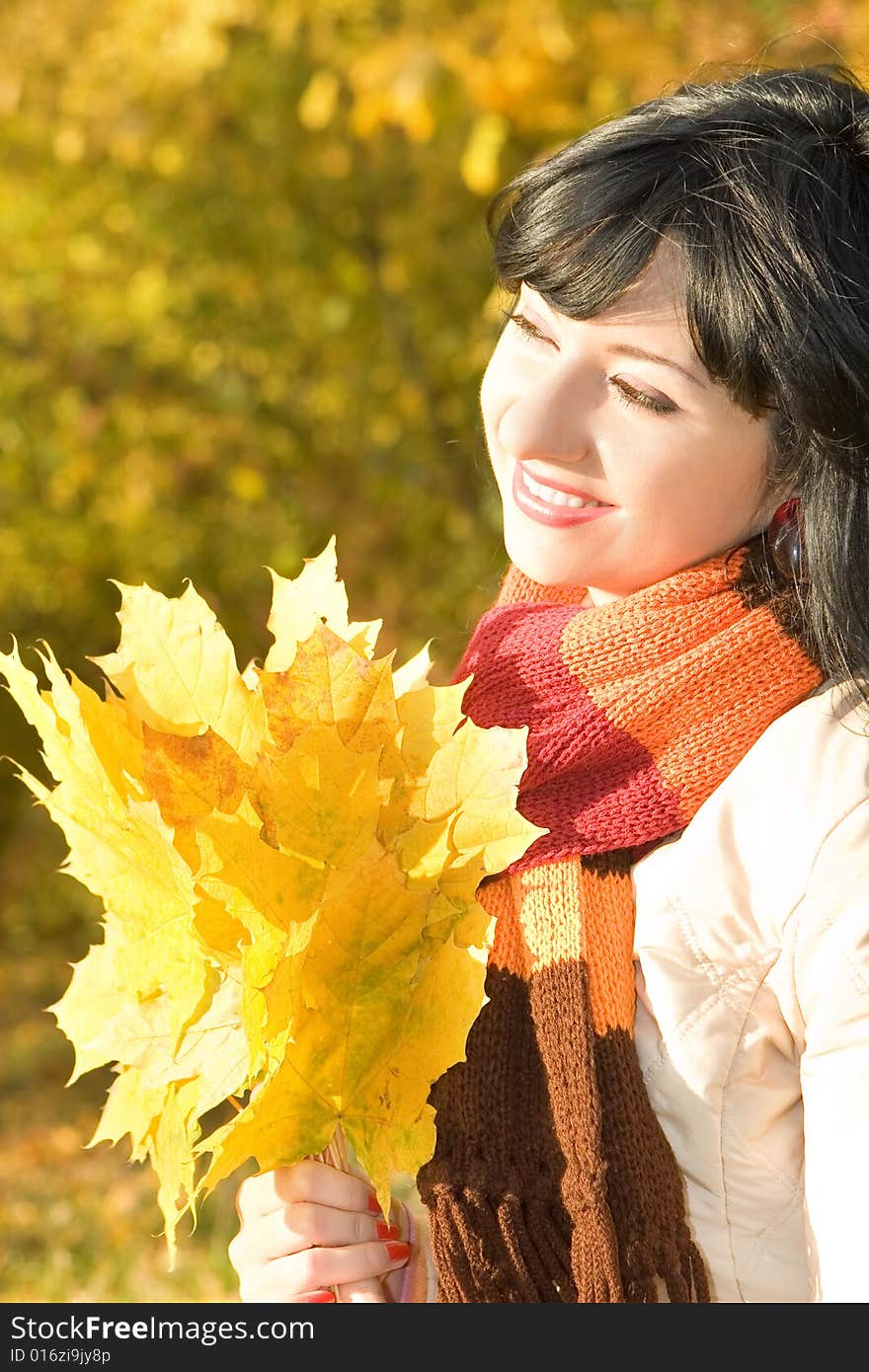 Young pretty woman in the autumn park. Young pretty woman in the autumn park