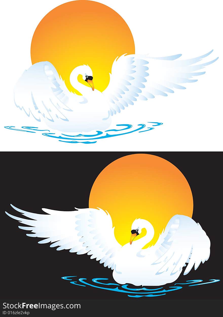 Vector illustration for swan in diferent background