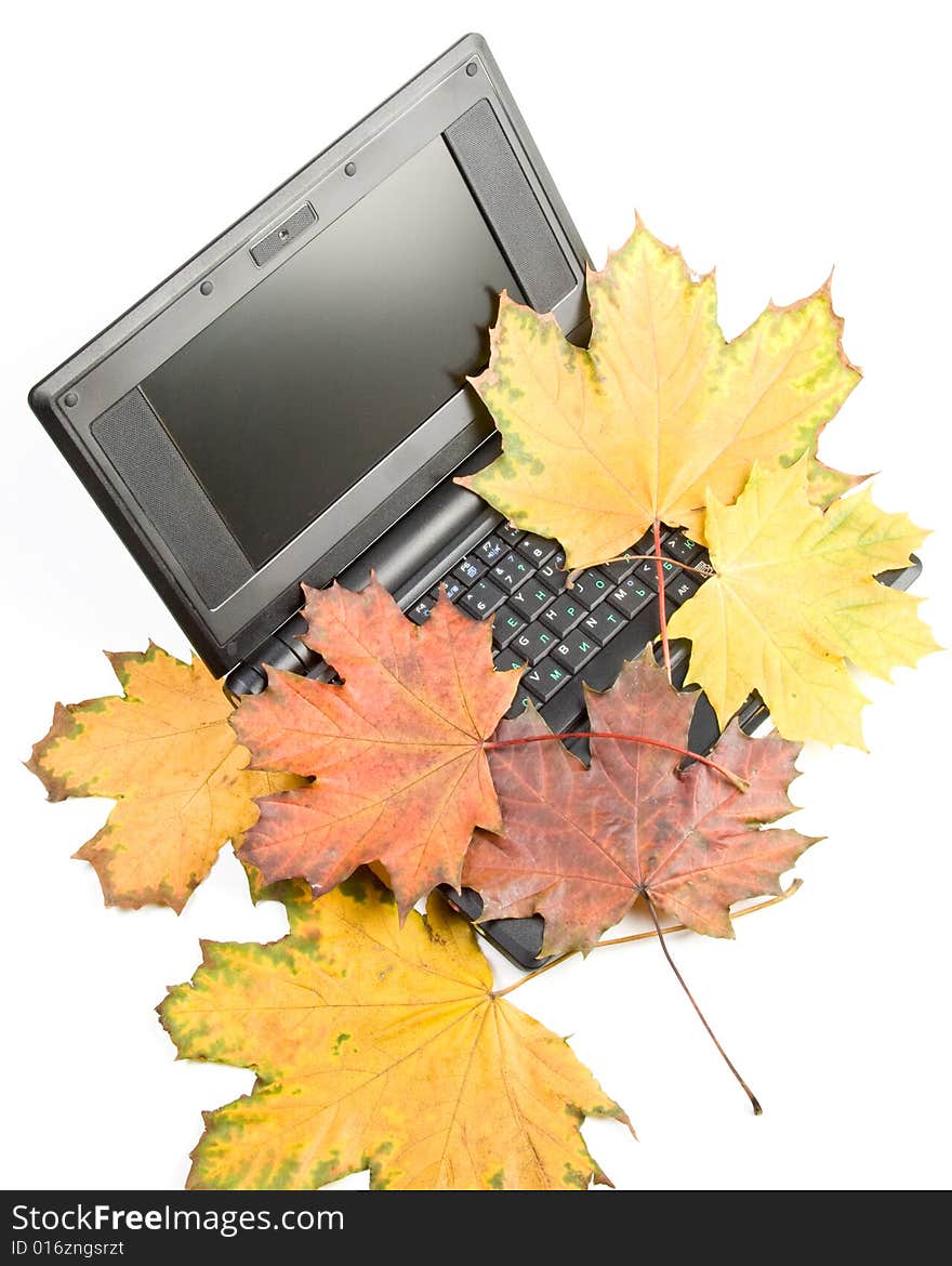 Notebook and autumn leaves on a white background.