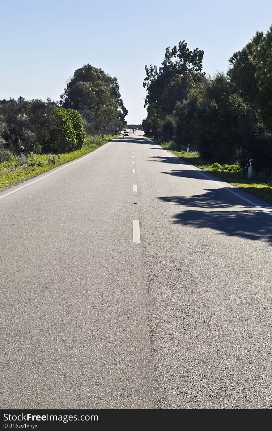 Straight road with bushes in the roadside in a sunny day