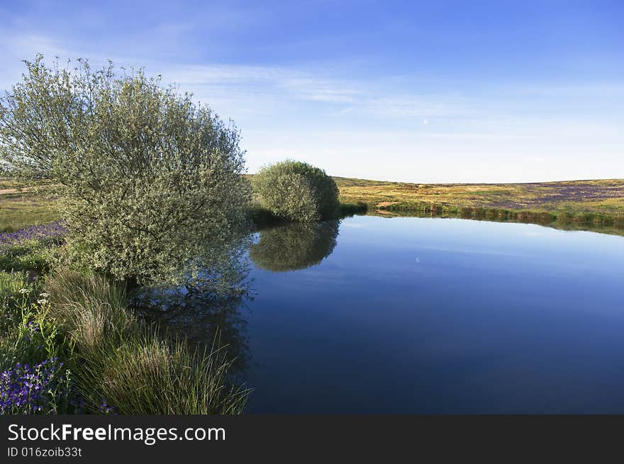 Small lake in the beautiful morning light