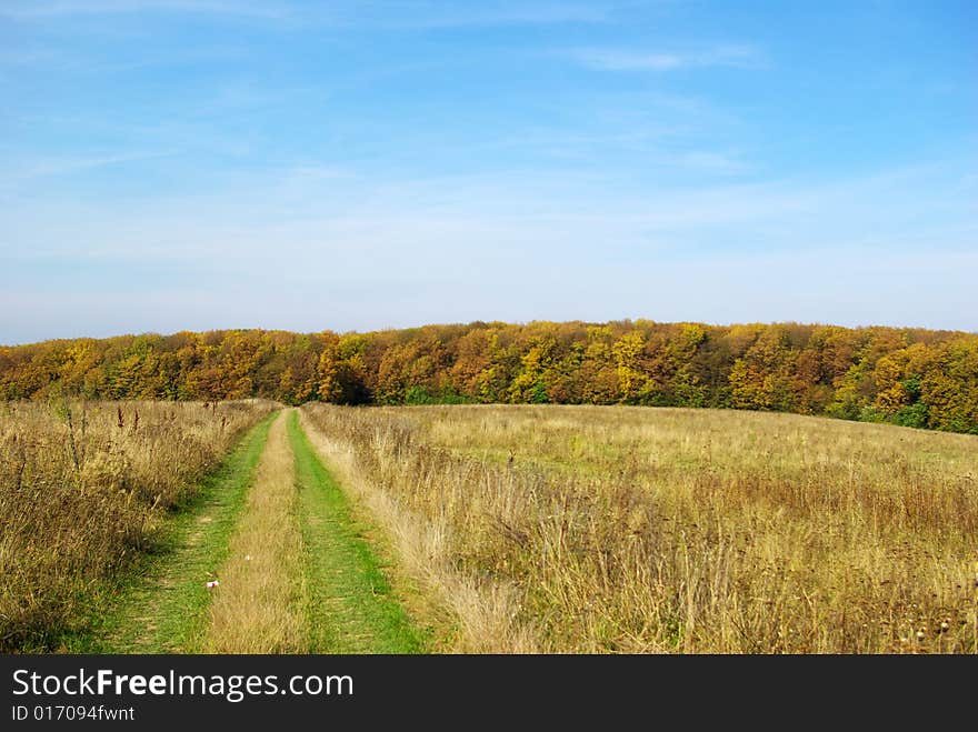 Path in the field