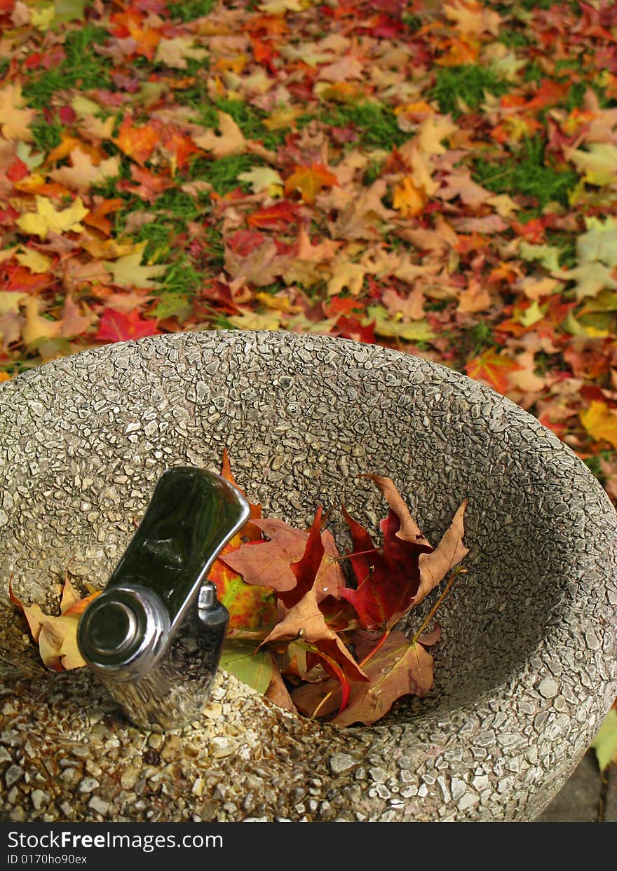 Fountain and Foliage at a park