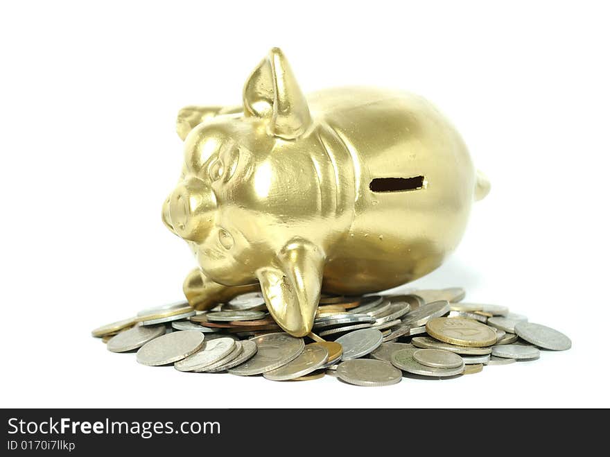 Gold piggy bank