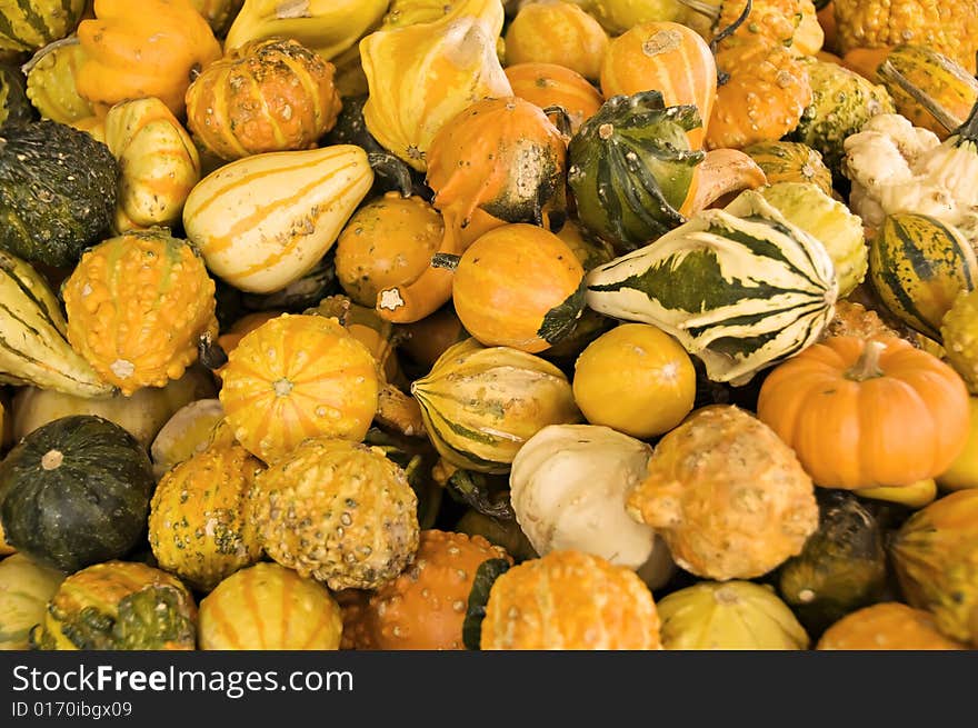 A display of gourds displayed at a famers market for holiday decorations.