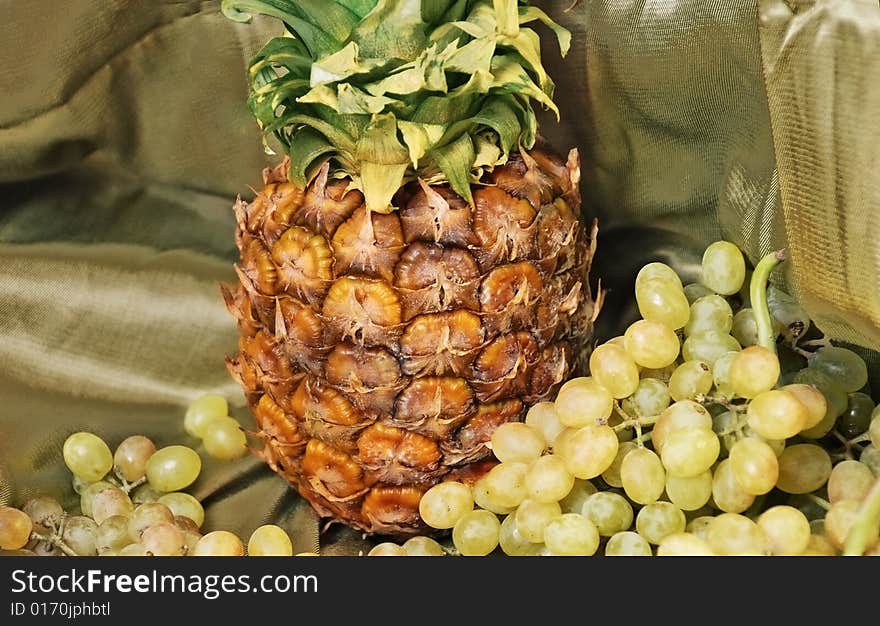 Pineapple and vine