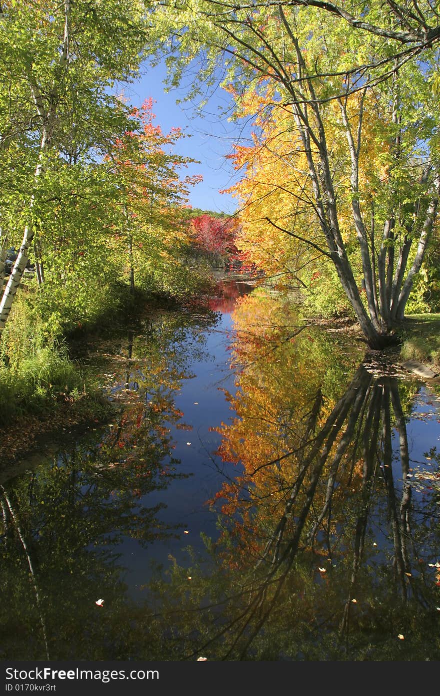 Colorful Foliage in the Fall