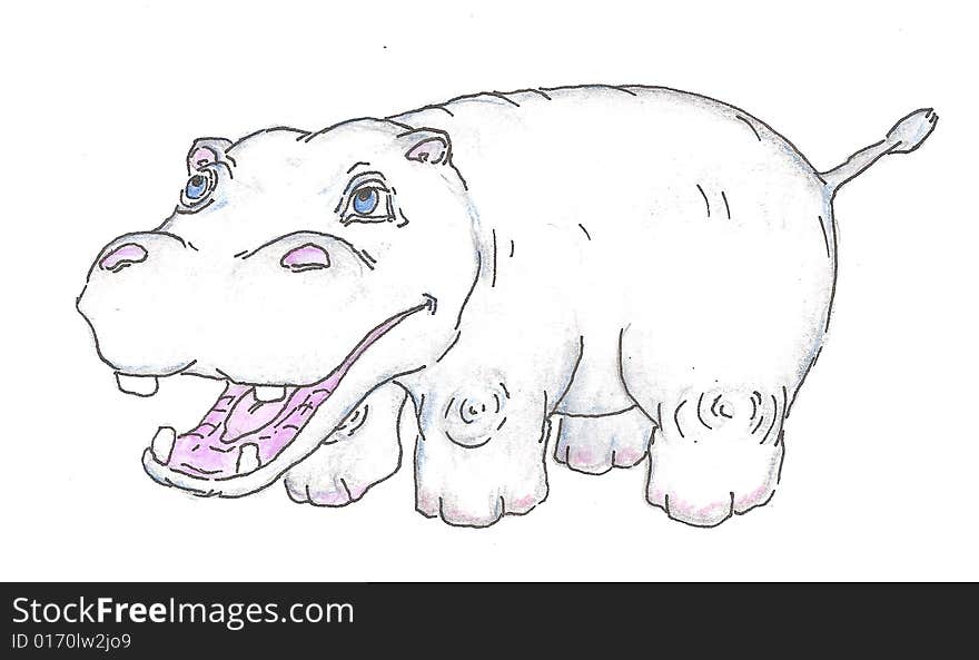 Hippopotamus