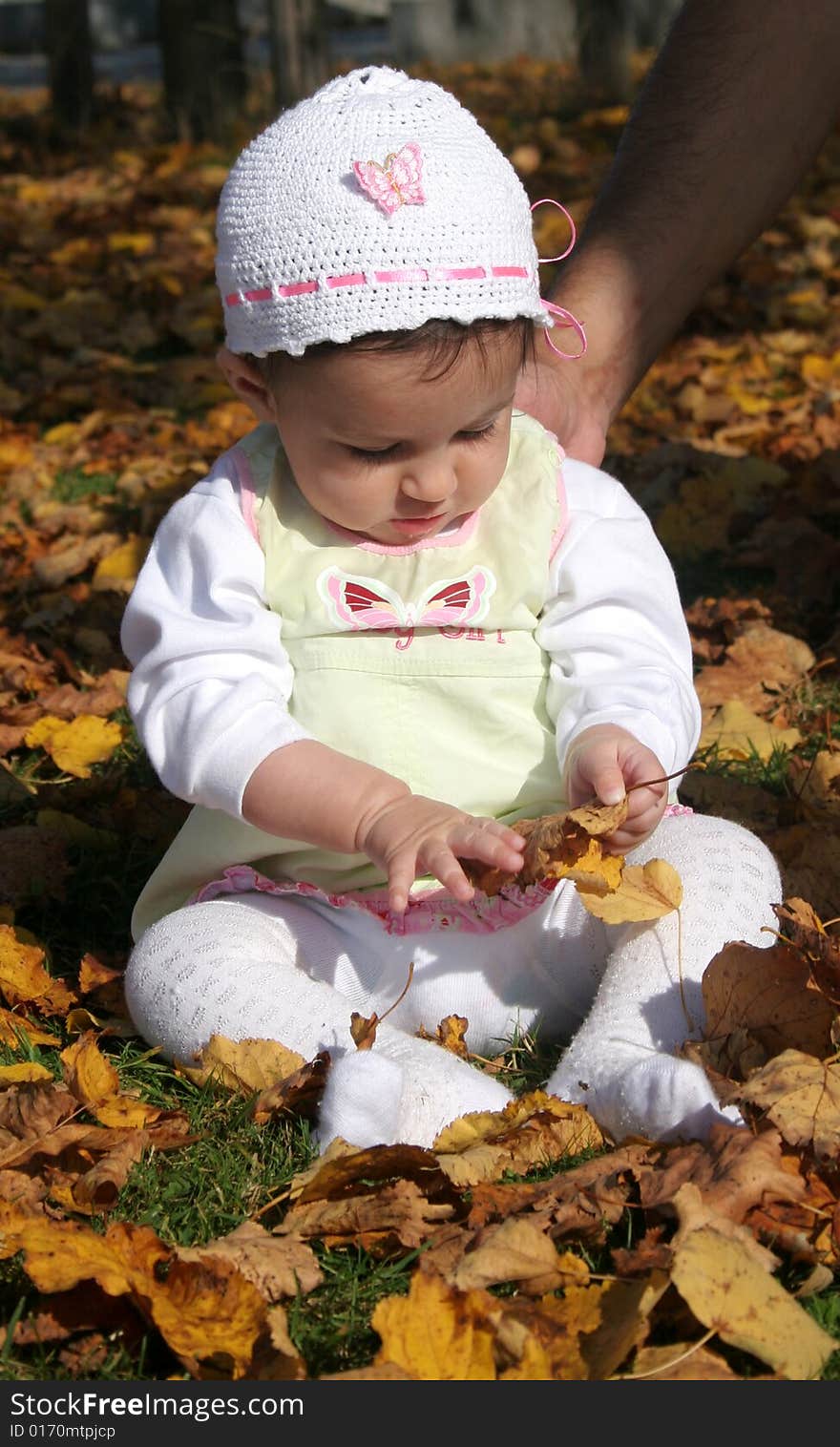 Cute baby girl  playing in the park on a sunny autumn day. Cute baby girl  playing in the park on a sunny autumn day