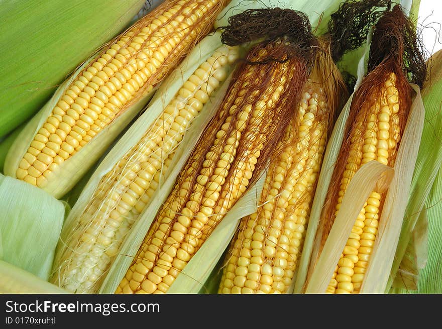 Fresh yellow corn on the cob. Fresh yellow corn on the cob