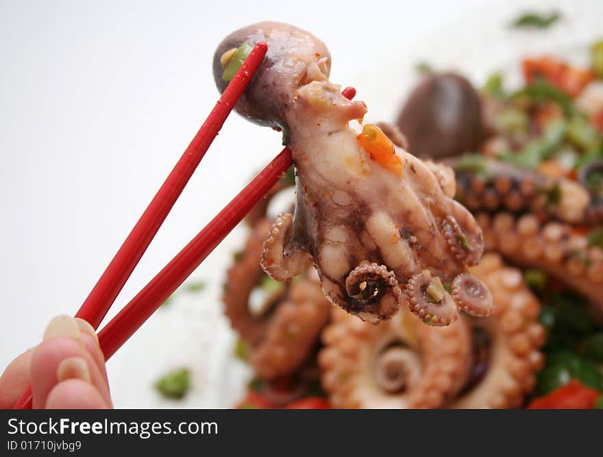 Octopus