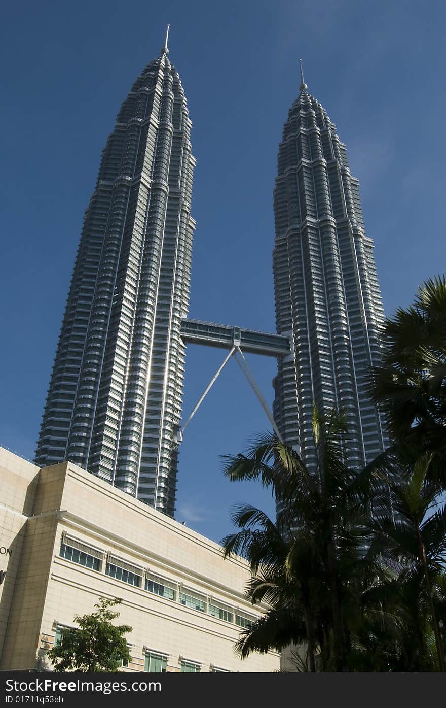 A view of PETRONAS Twin Towers from the KLCC park