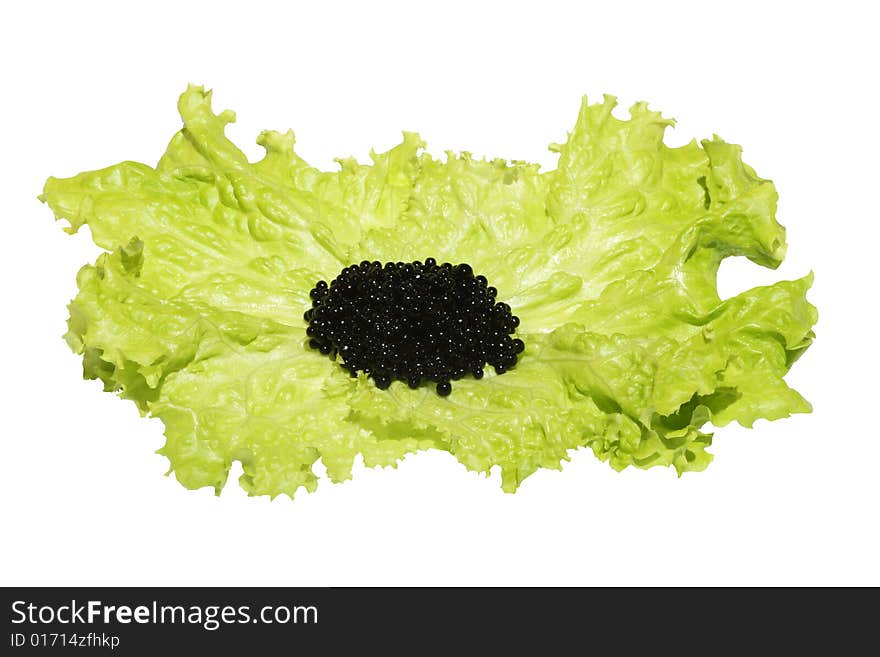 Black caviar  on lettuce