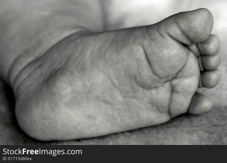 Infants sole of foot and toes. Infants sole of foot and toes