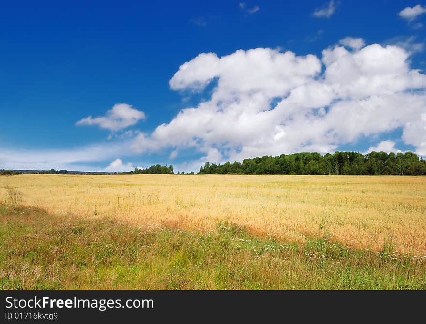 Beautiful summer landscape over a blue sky