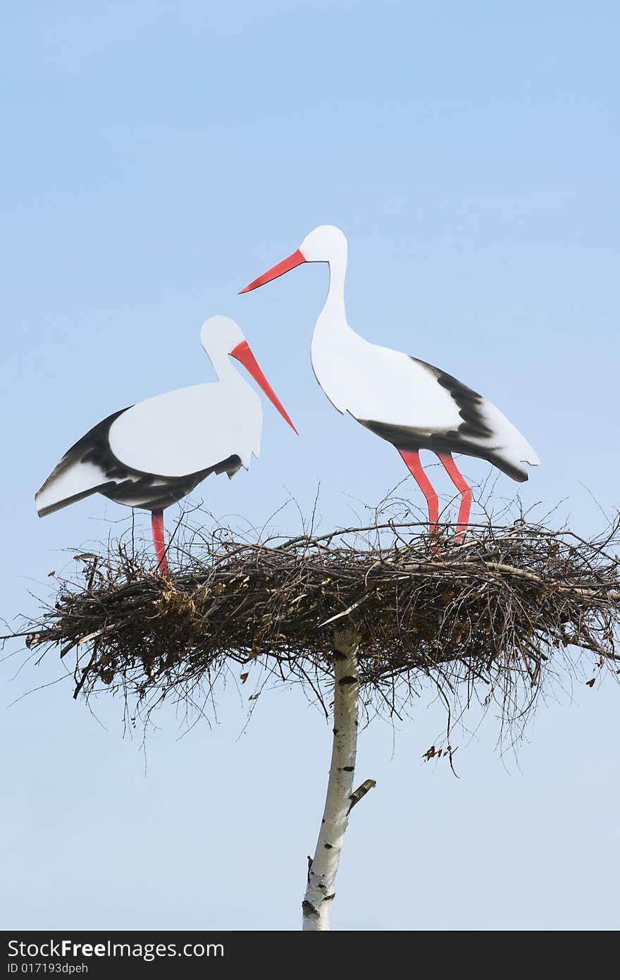 Couple loving storks are on the nest, wildlife. Couple loving storks are on the nest, wildlife