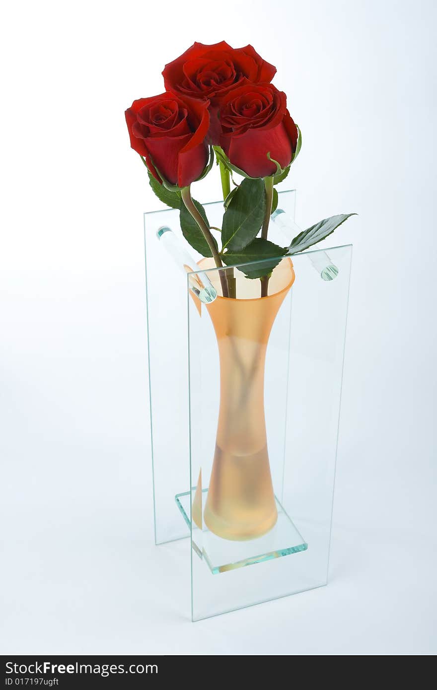 Roses In A Vase