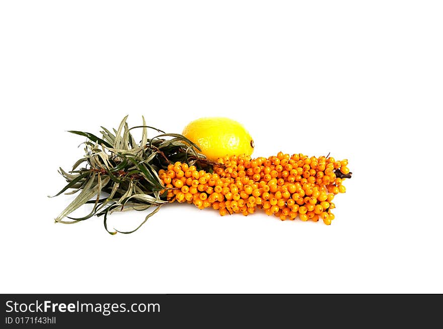 Sea-buckthorn and lemon isolated on a white background. Sea-buckthorn and lemon isolated on a white background.