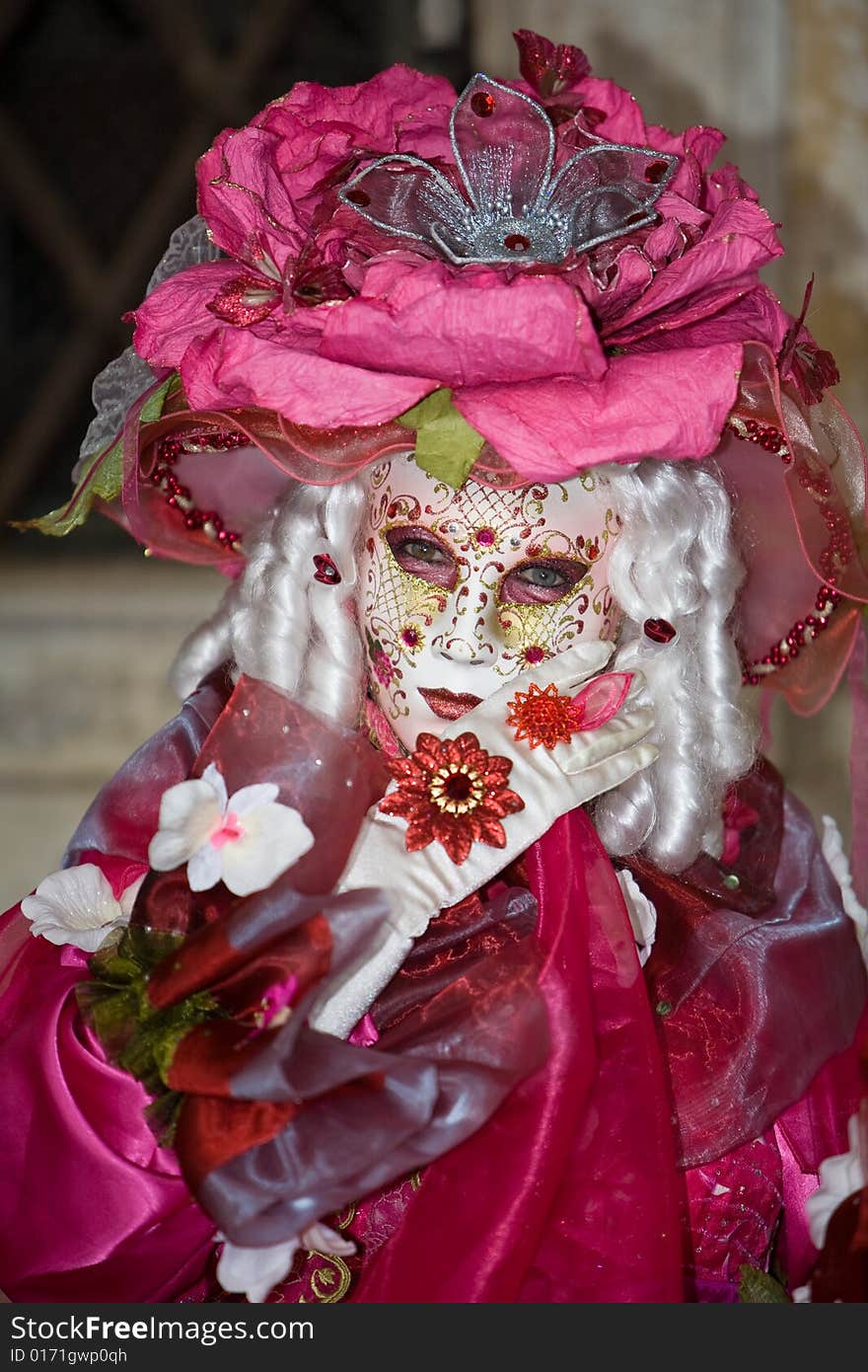 Pink costume at the Venice Carnival. Pink costume at the Venice Carnival