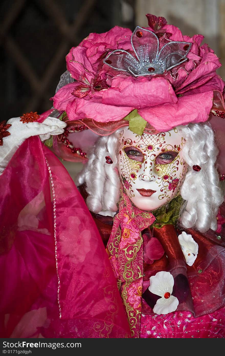 Pink costume at the Venice Carnival. Pink costume at the Venice Carnival