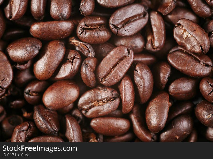 Coffee crops (macro shot). Backgrounds. Coffee crops (macro shot). Backgrounds.