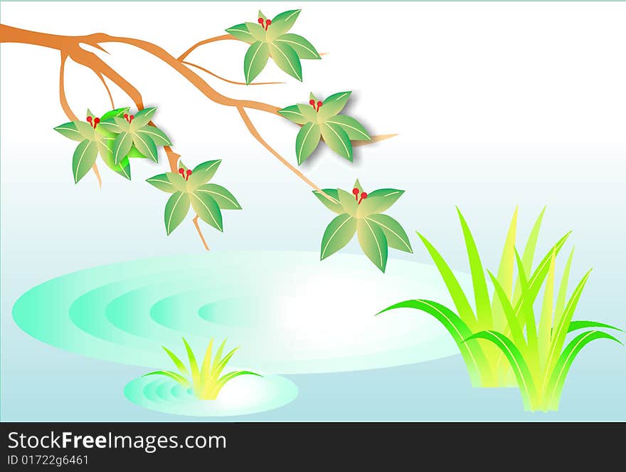 Branch of tree with leaf inside lakes. Branch of tree with leaf inside lakes