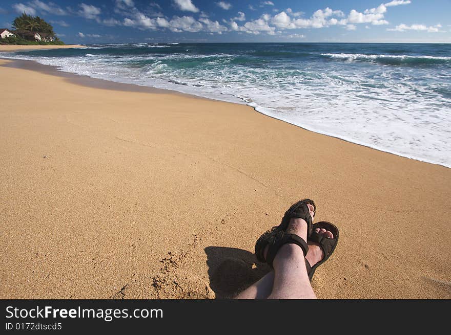 Man Relaxes on Tropical Shoreline