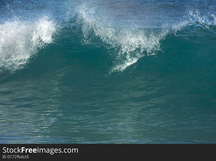 Dramatic Shorebreak Wave