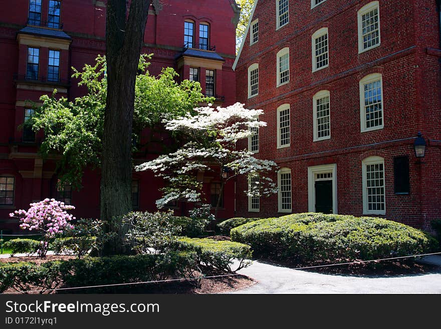 Harvard Square, Cambridge