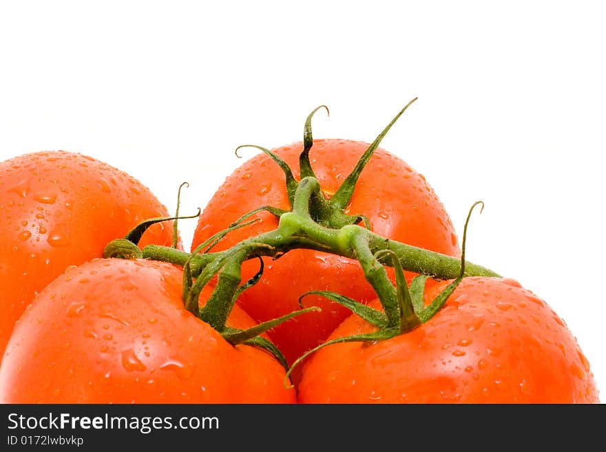 Red Tomatos With Green Branch.