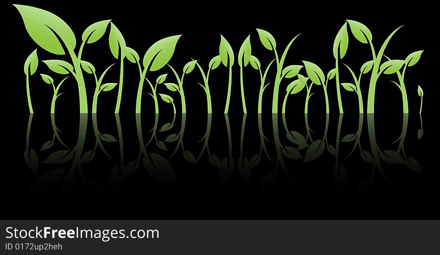 Leaves with reflection, vector illustration