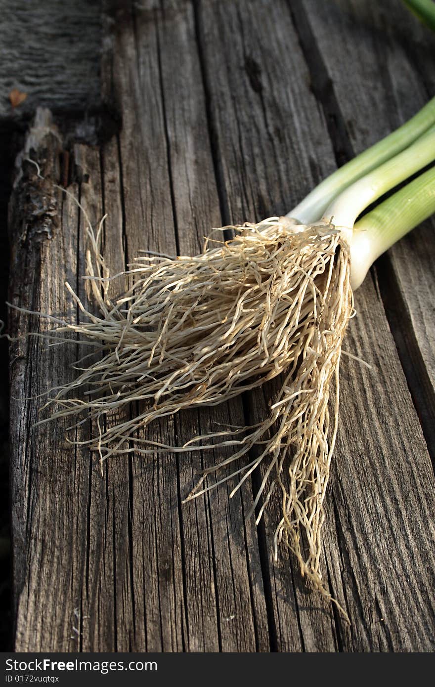 Organick leek on weathering wooden table