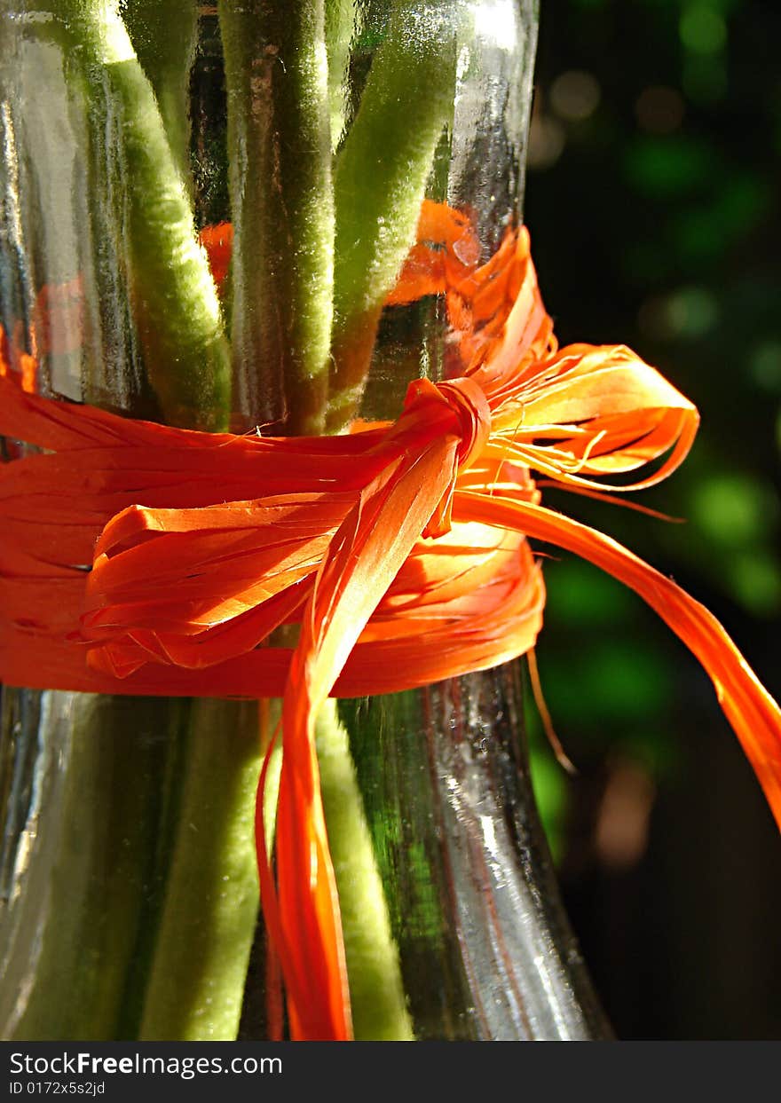 Vase with the flowers tied up in a bow. Vase with the flowers tied up in a bow