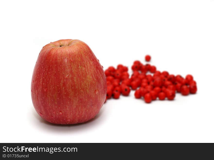 Apple With Ashberry (rowanberry) Near