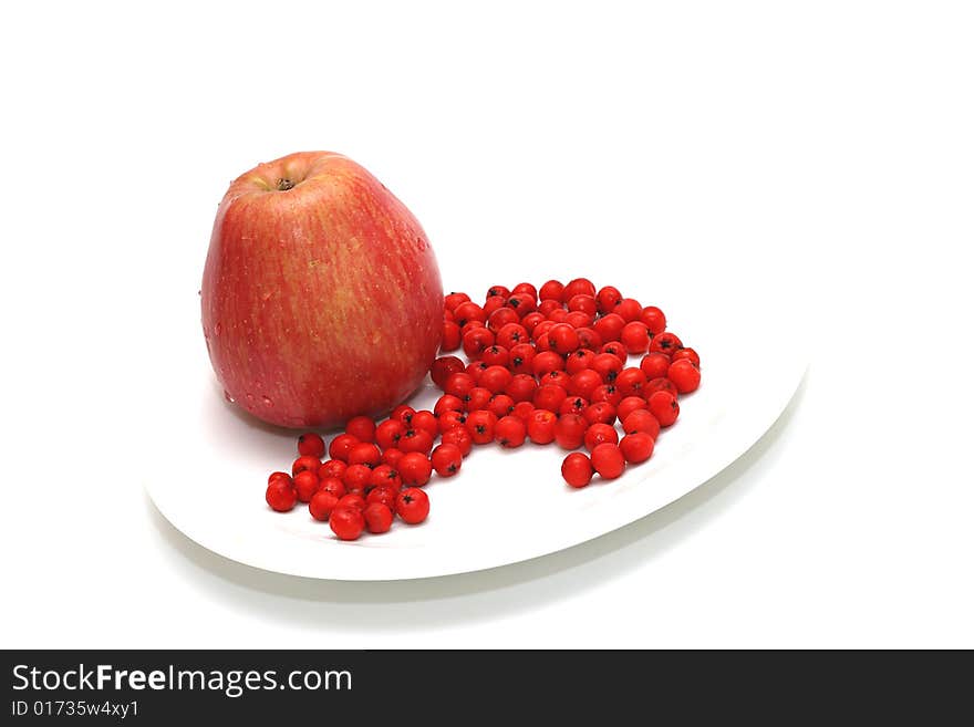 Apple with ashberry on plate white background. Apple with ashberry on plate white background