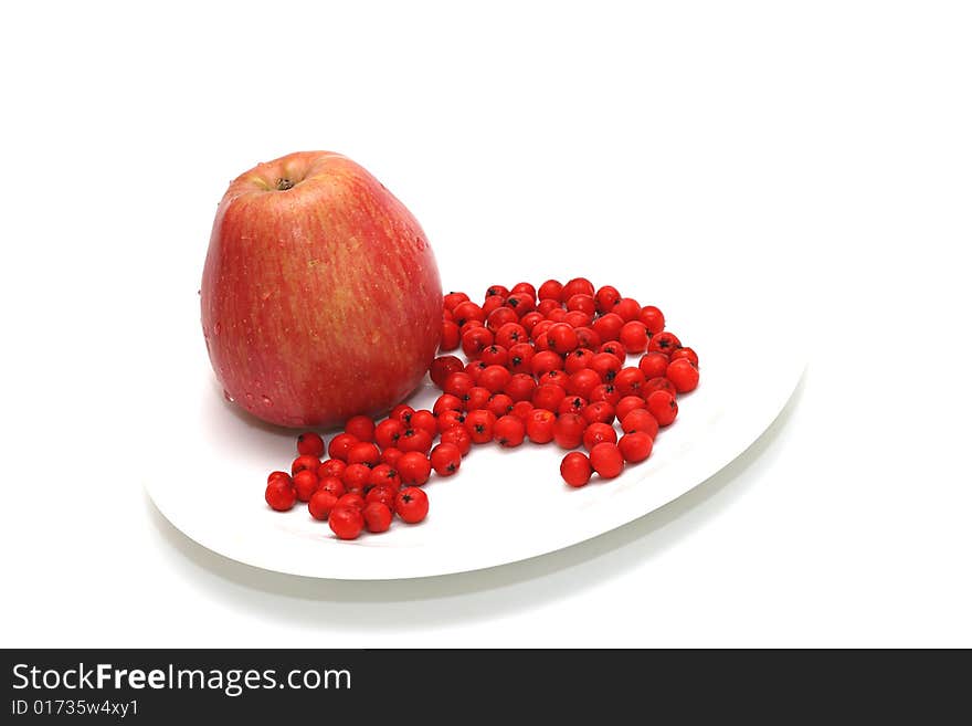 Apple with ashberry on plate on white