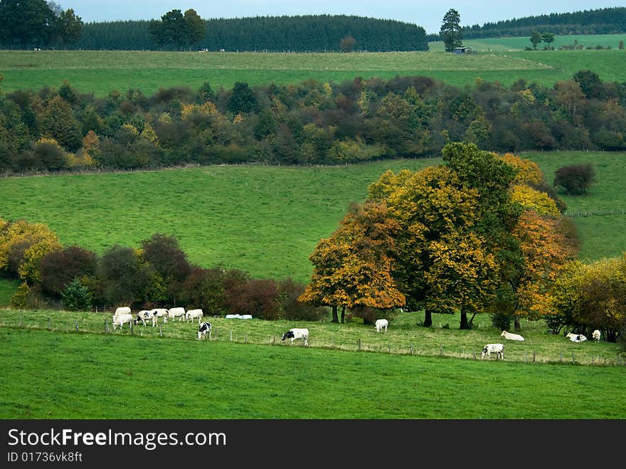 Beautiful autumn country landscape in belgium (Ardennes)