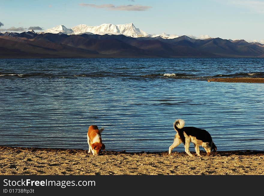 Namtso Lake in Tibet