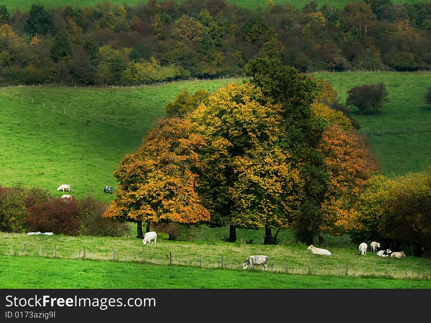 Beautiful autumn country landscape in belgium (Ardennes)