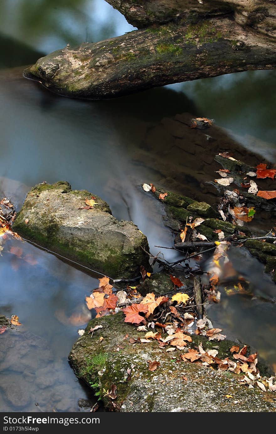 This is an Autumn scene.It contains many elements of a fall scene. It has fallen timber, water, leaves and other objects that remind us of fall.