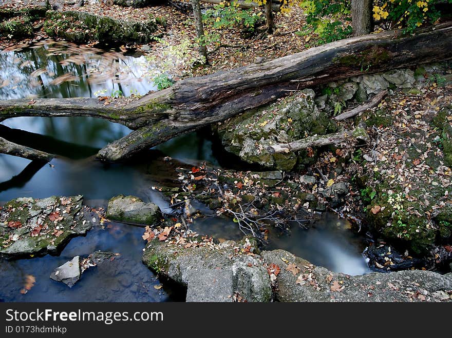 This is an Autumn scene.It contains many elements of a fall scene. It has fallen timber, water, leaves and other objects that remind us of fall. This is an Autumn scene.It contains many elements of a fall scene. It has fallen timber, water, leaves and other objects that remind us of fall.