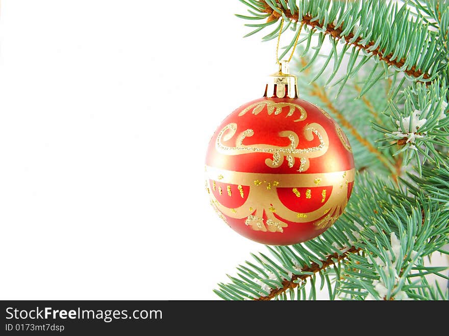 Red ball and branch of tree on the white background. Red ball and branch of tree on the white background