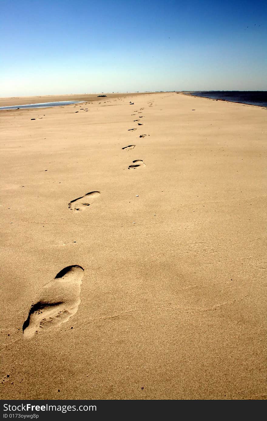 Footprints in the sand on the beach