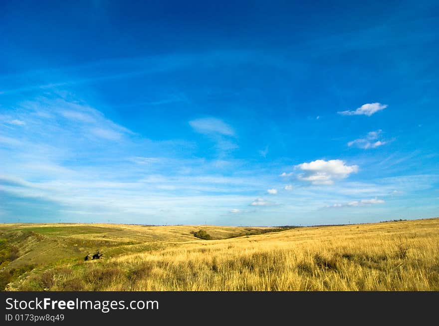 Idyllic landscape 
blue sky and yellow grass