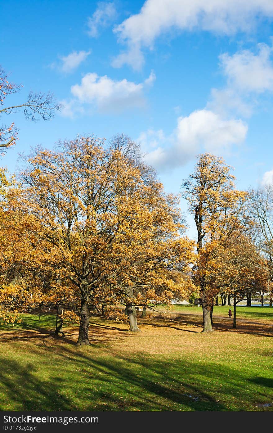 Scenic Tree In Autumn Scene