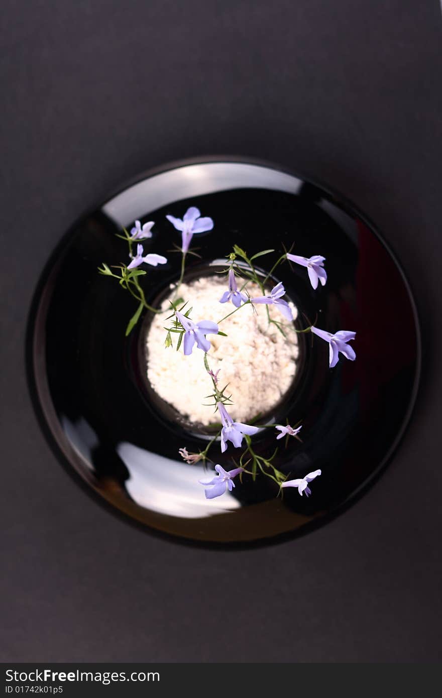 Small blue flower in a black round vase